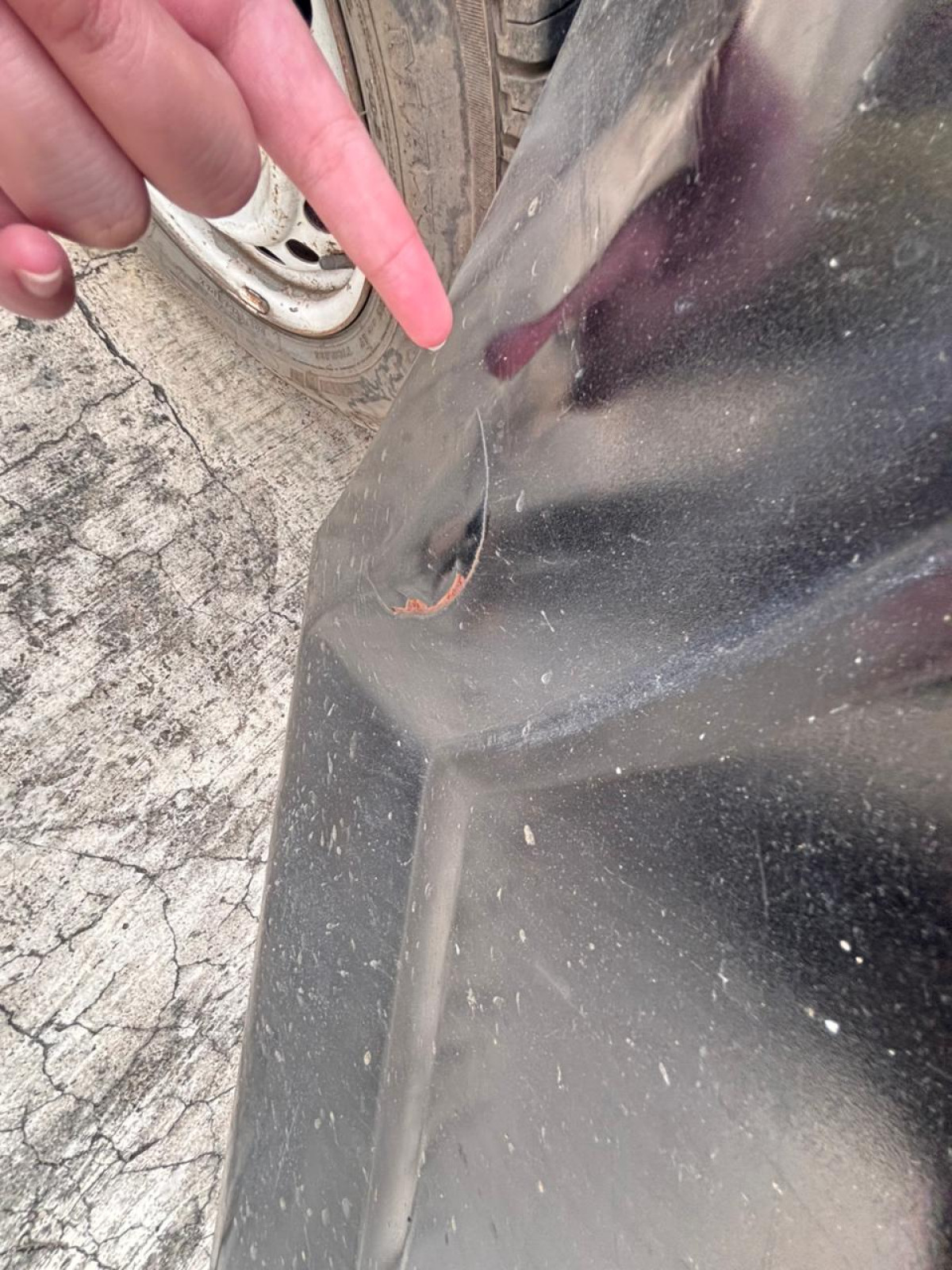 SUZUKI MEGA CARRY  PU