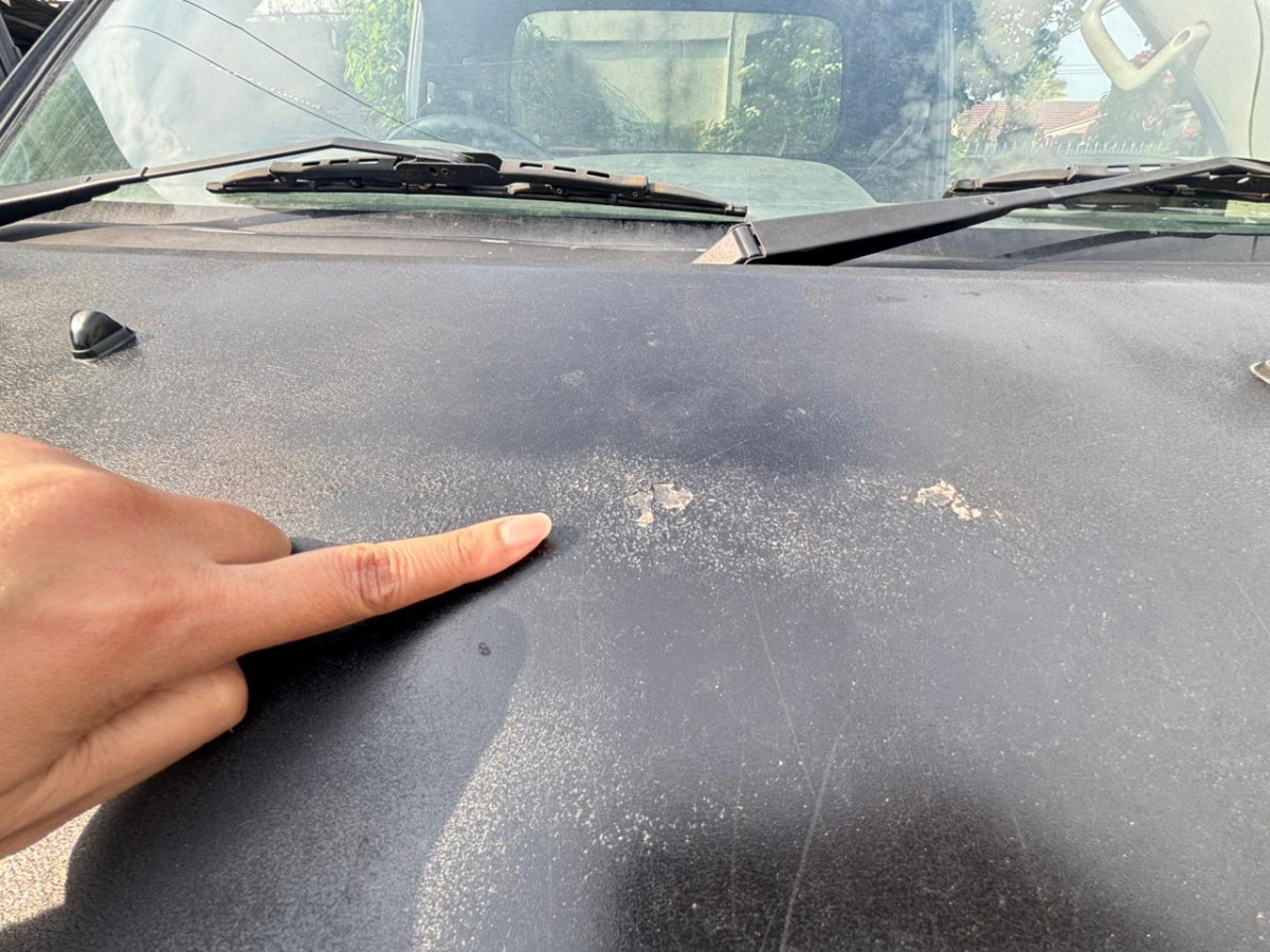 SUZUKI MEGA CARRY  PU