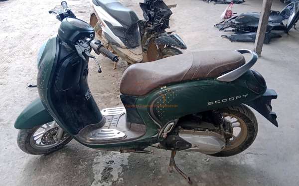 HONDA SCOOPY STYLISH