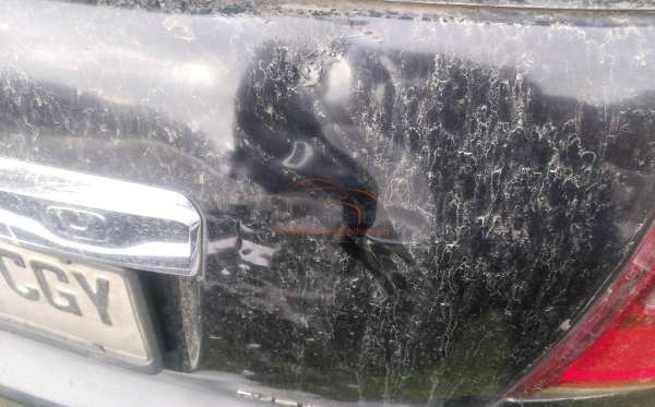 CHEVROLET 2.0 L A/T FL