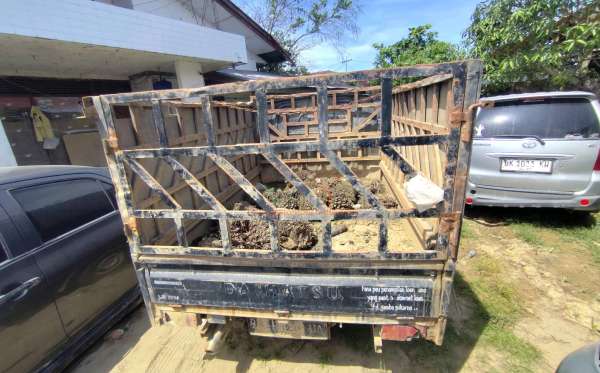 DAIHATSU  GRAN MAX  PICK-UP