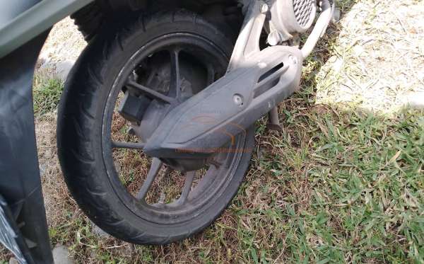 HONDA  GENIO