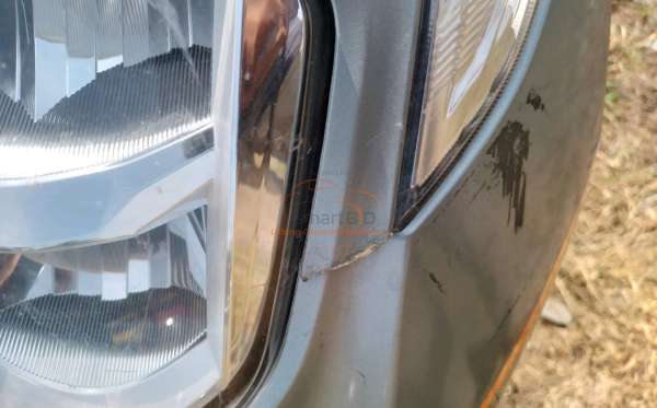 HONDA  GENIO