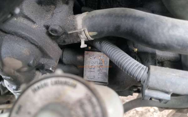 HONDA JAZZ GK5 1.5 RS