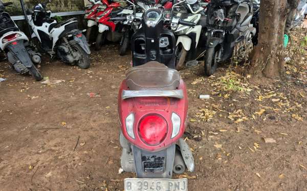 HONDA  SCOOPY CW