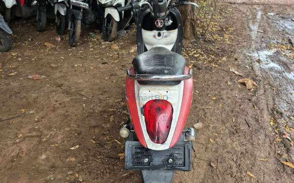 HONDA SCOOPY CW