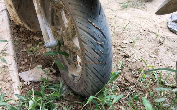 HONDA SCOOPY PRESTIGE