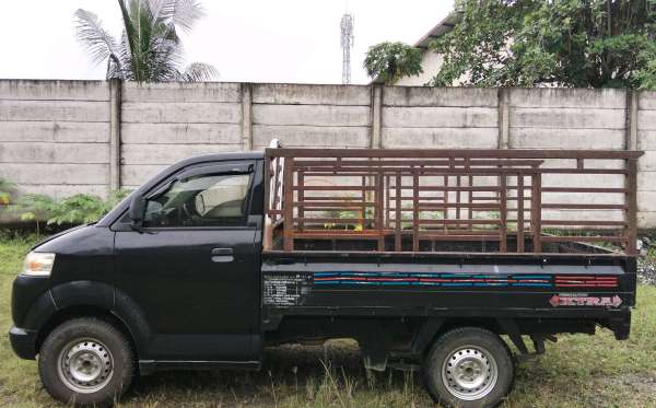 SUZUKI MEGA CARRY P.U