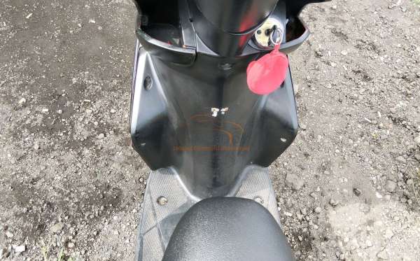YAMAHA XEON
