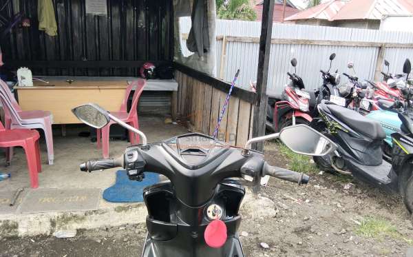 YAMAHA XEON