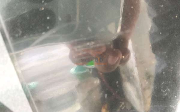 HONDA BEAT SPORTY CBS