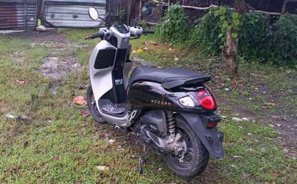 HONDA SCOOPY