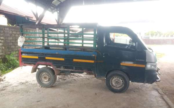 SUZUKI  CARRY  PU