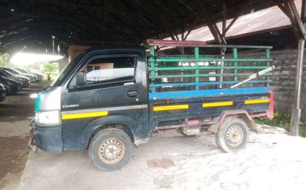 SUZUKI  CARRY  PU