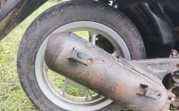 HONDA SCOOPY STYLISH