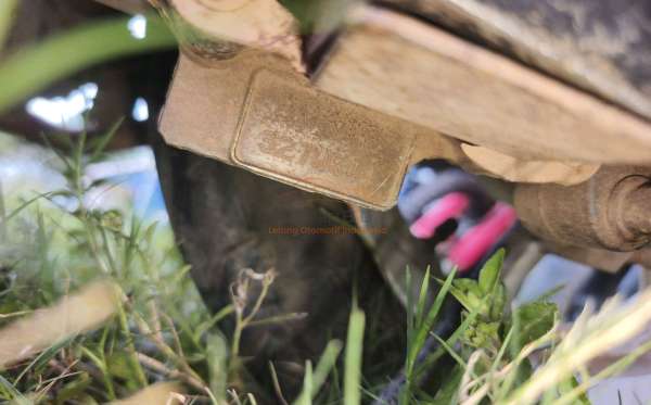 HONDA SCOOPY STYLISH