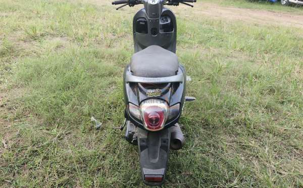 HONDA SCOOPY STYLISH