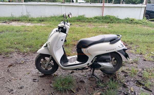 HONDA SCOOPY