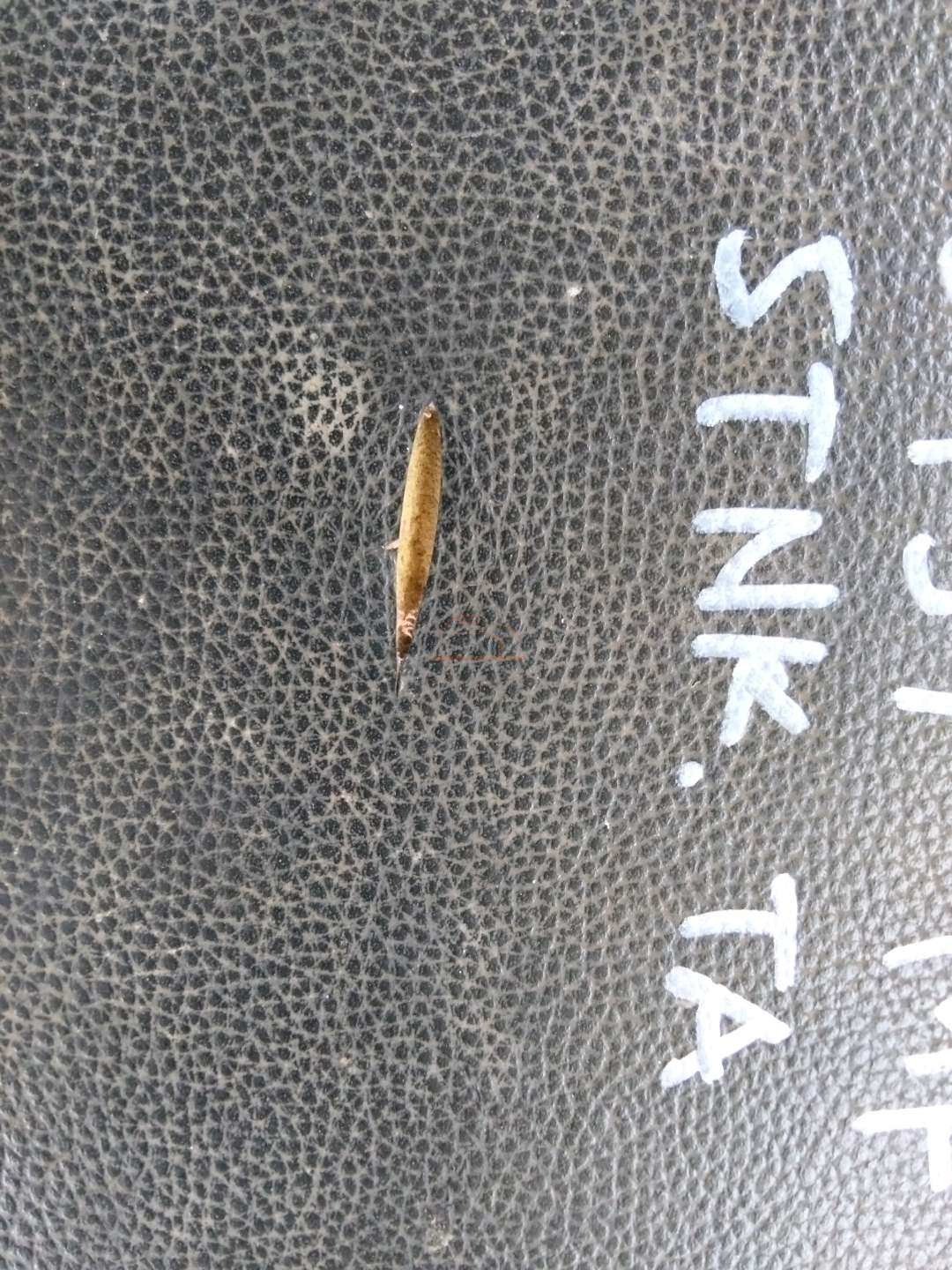 YAMAHA MIO FINO SPORTY FI