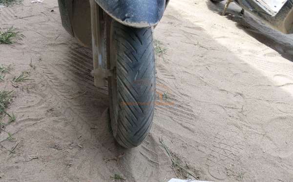 HONDA  SCOOPY