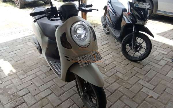 HONDA SCOOPY