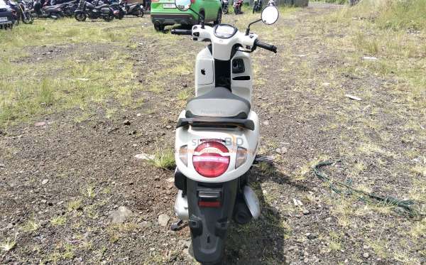HONDA  SCOOPY