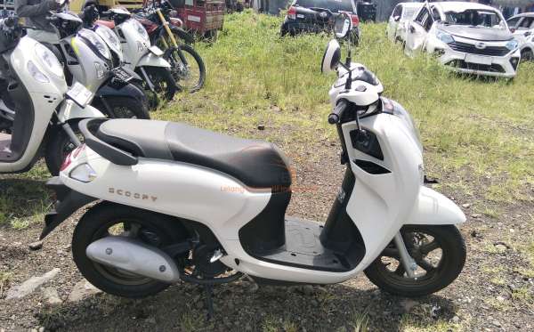 HONDA  SCOOPY