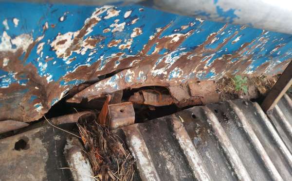 DAIHATSU GRAN MAX PICK-UP