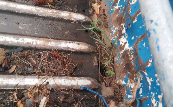 DAIHATSU GRAN MAX PICK-UP