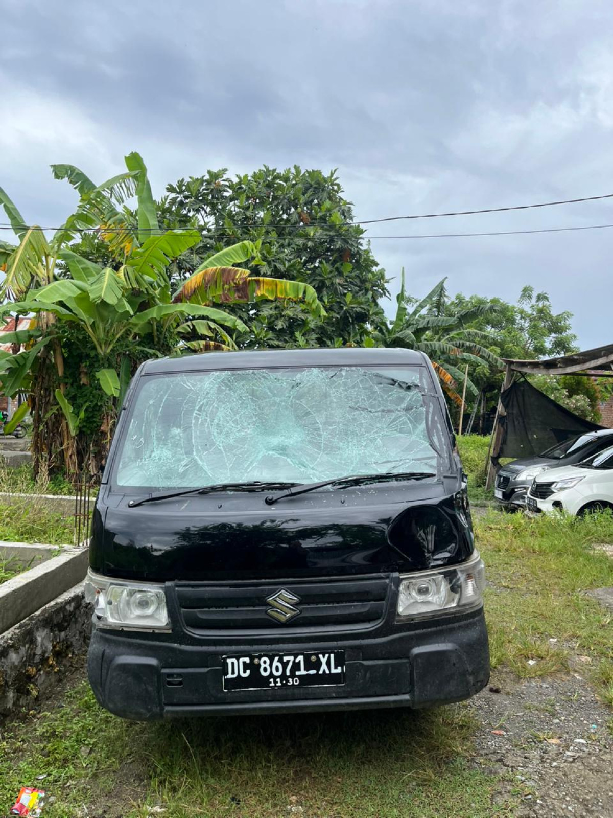 SUZUKI  CARRY  CL PICK UP