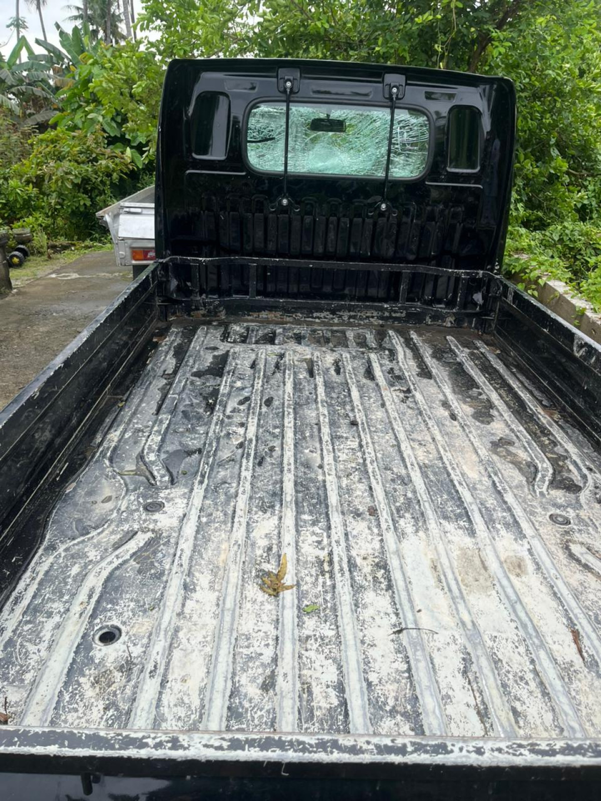 SUZUKI  CARRY  CL PICK UP