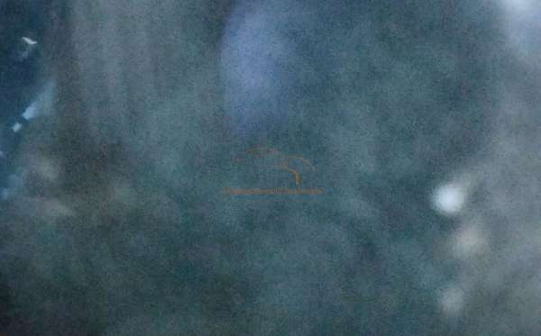 XCMG XCMG EXCAVATOR XE135F