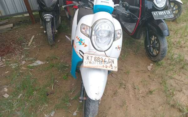 HONDA SCOOPY STYLISH