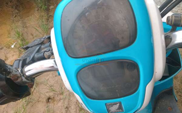 HONDA SCOOPY STYLISH