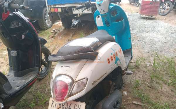 HONDA SCOOPY STYLISH