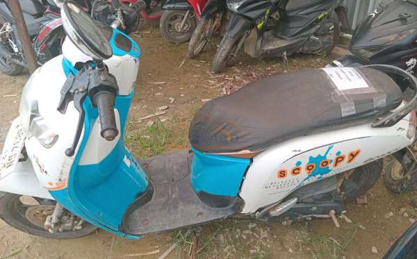 HONDA SCOOPY STYLISH