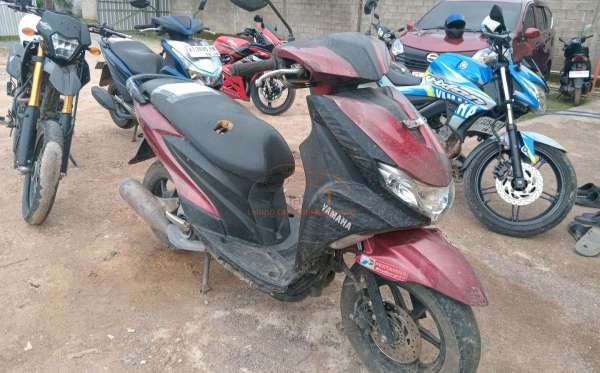 YAMAHA FREEGO