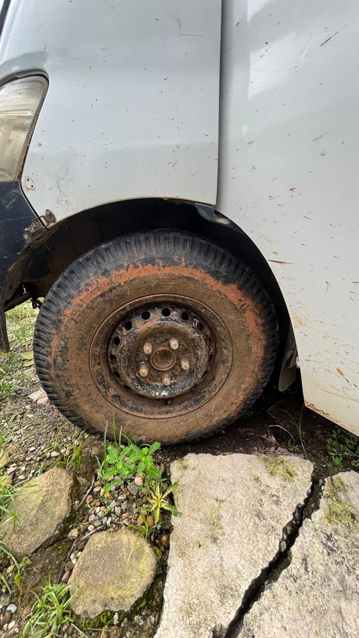 DAIHATSU GRAN MAX  PICK-UP