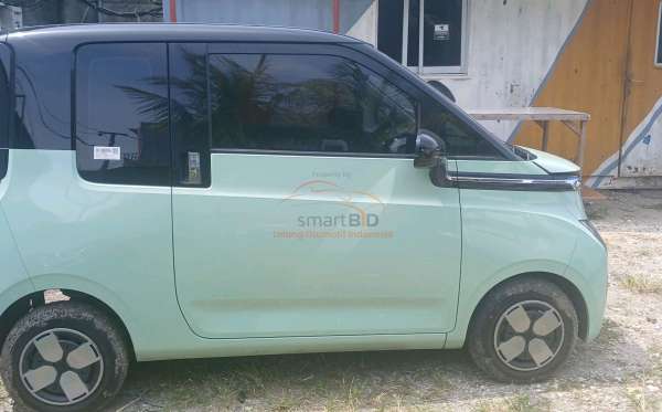 WULING AIR EV
