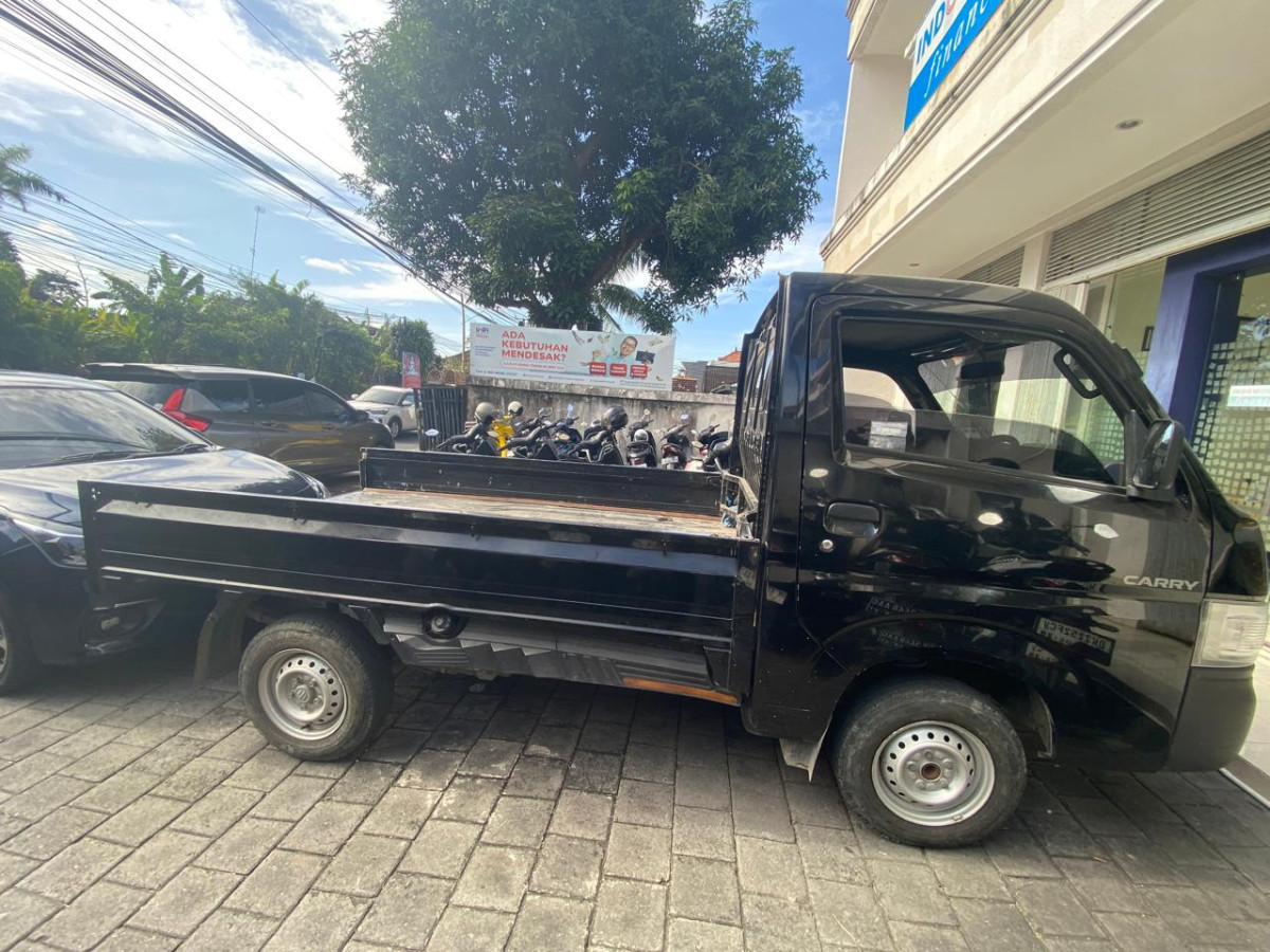 SUZUKI CARRY  PU