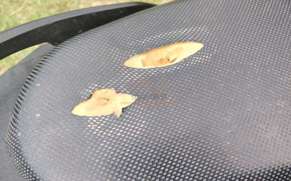 HONDA BEAT ESP CBS ISS