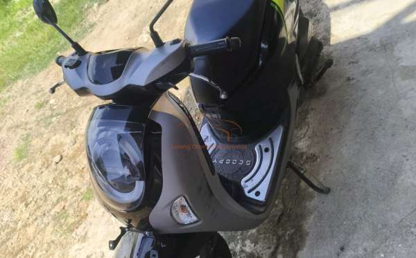 HONDA  SCOOPY
