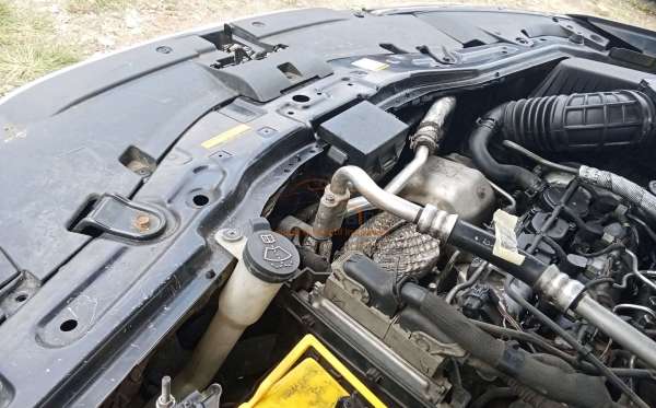 CHEVROLET 2.0 L A/T FL