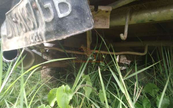 DAIHATSU  GRAN MAX  PICK-UP