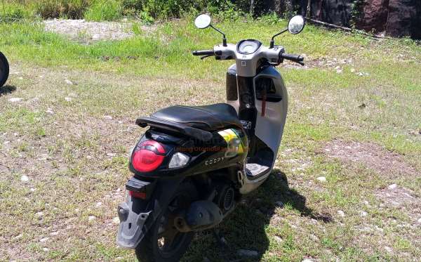 HONDA SCOOPY