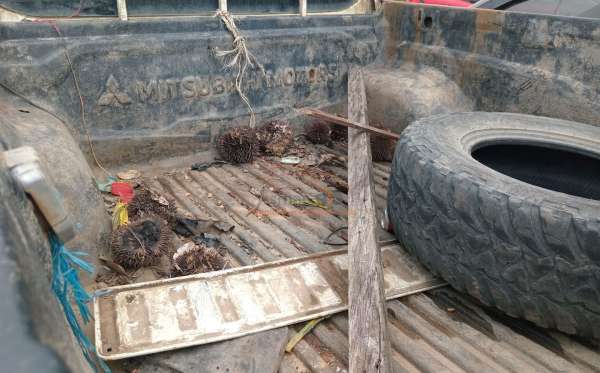 MITSUBISHI DC GLS 4X4