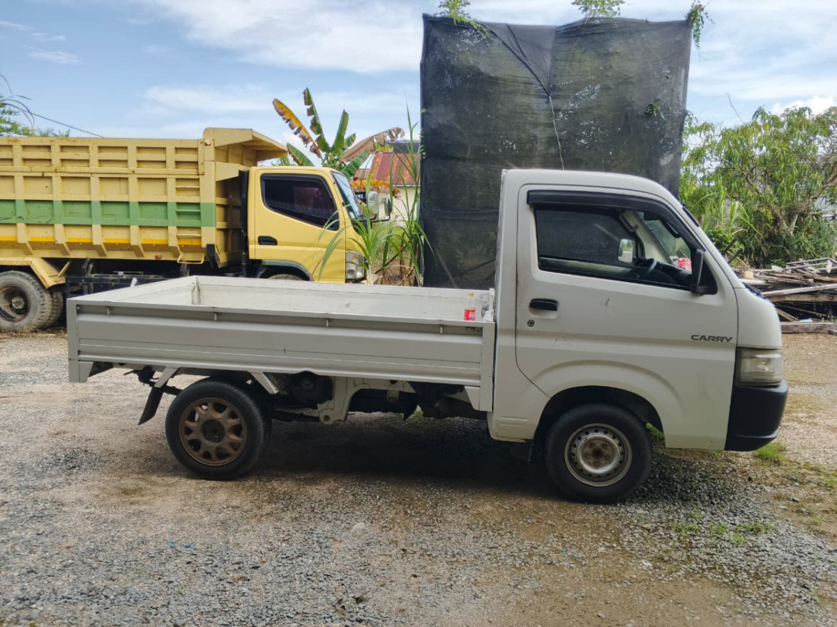 SUZUKI  CARRY  PU