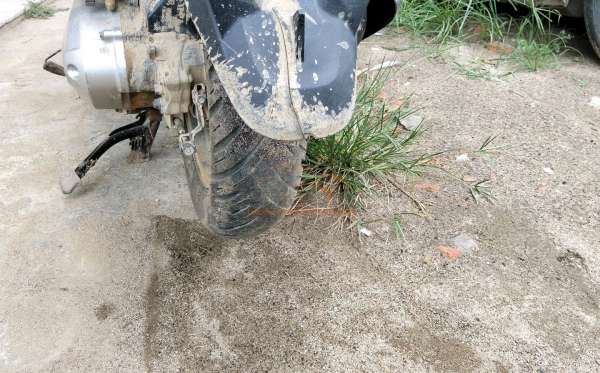 HONDA ALL NEW SCOOPY PRESTIGE STYLISH