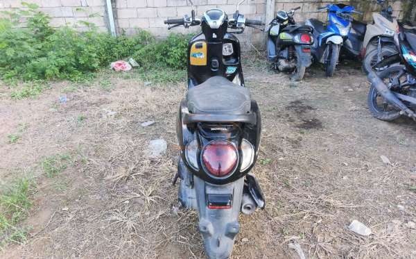 HONDA  SCOOPY