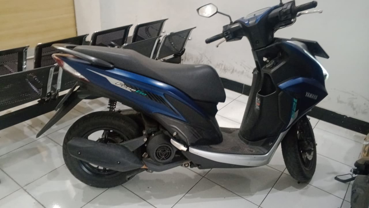 YAMAHA FREEGO